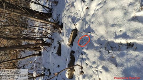 IMG 20221123 150552.jpg