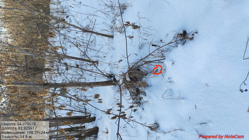 IMG 20221123 150609.jpg