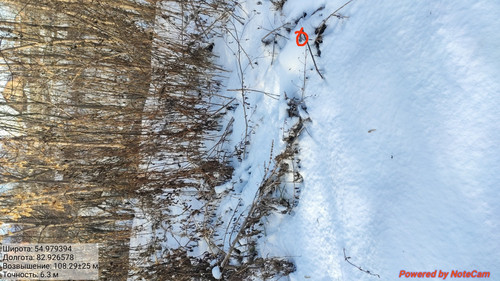 IMG 20221123 150628.jpg