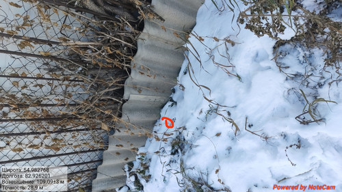 IMG 20221123 145923.jpg