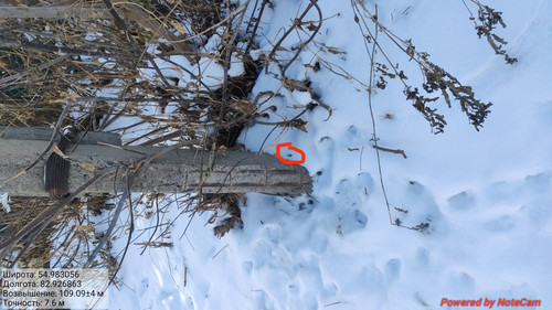 IMG 20221123 145937.jpg