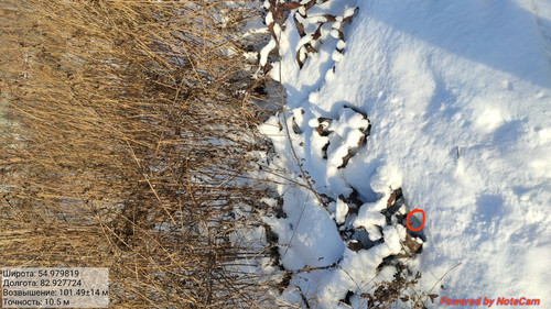 IMG 20221123 150727.jpg