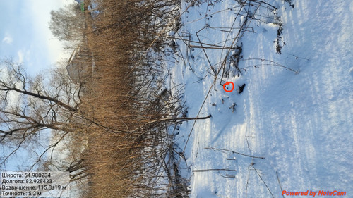 IMG 20221123 150802.jpg