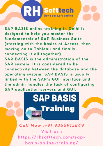 sap basis delhi 3.png