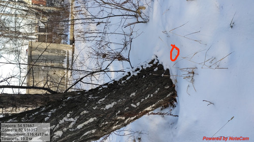 IMG 20221123 150420.jpg