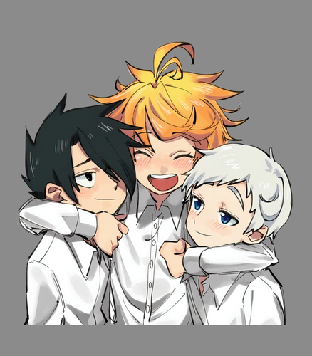 PROMISE56465 ds.png