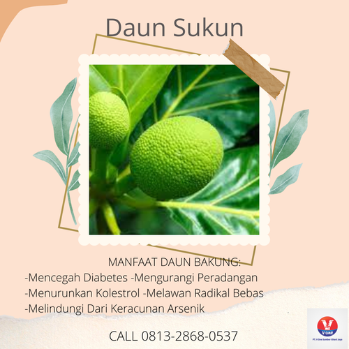 desain daun sukun 36.png