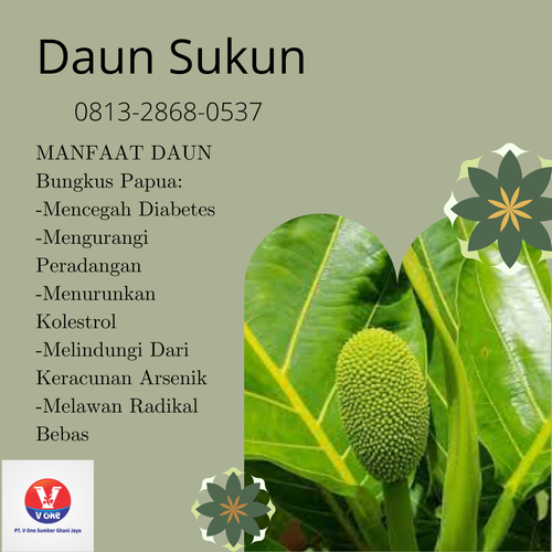 desain daun sukun 37.png