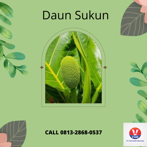 desain daun sukun 39.png