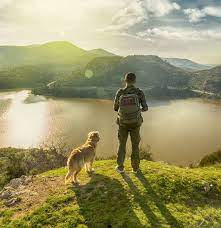 DogandHuman.jpg