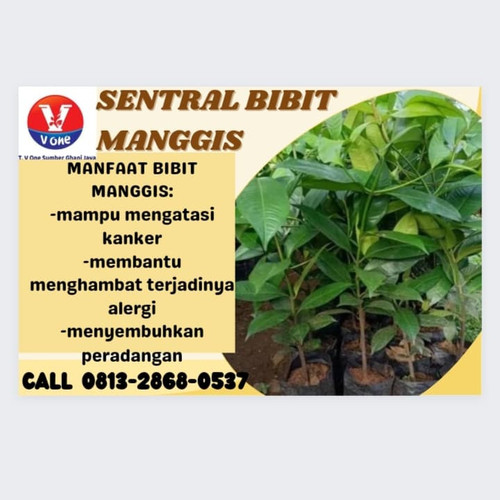 IMG 20221123 043911 562.jpg