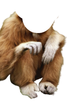 Screenshot 2022 11 23 14.08.43 removebg preview.png