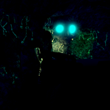 RobloxScreenShot20200926 005759531