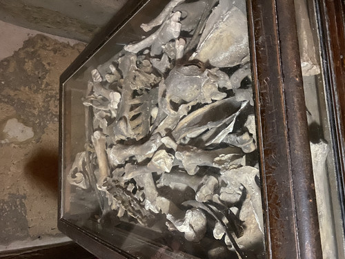 8E13AE28 C64B 4732 822B D114D8E4477E.jpg