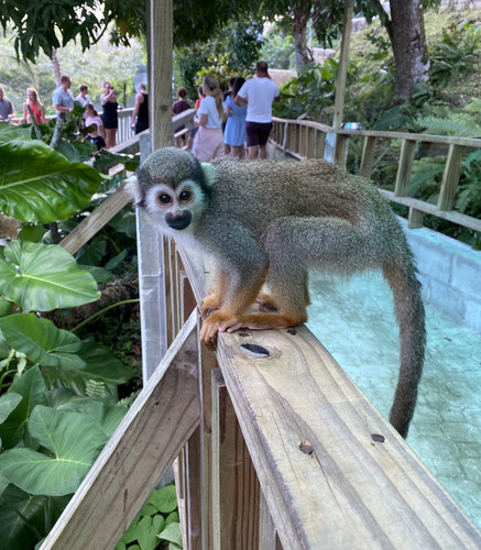 75E358E6 7CB9 42A7 BE83 5D8063192F03.jpg