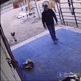 ezgif 3 3fe1671f3b.gif
