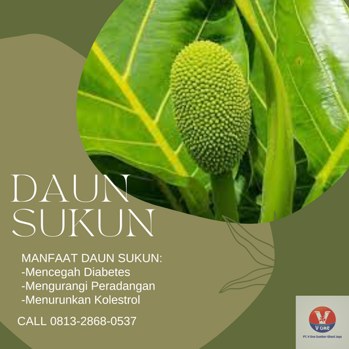 desain daun sukun 43.png