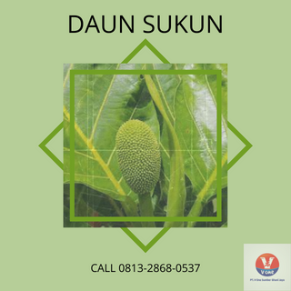 desain daun sukun 44.png