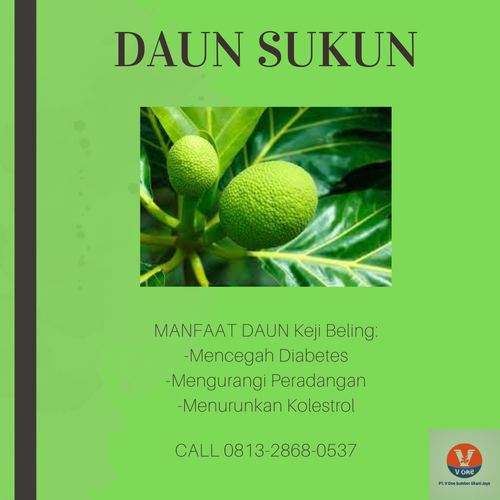 desain daun sukun 42.png