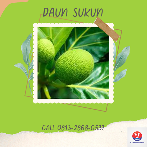 desain daun sukun 45.png
