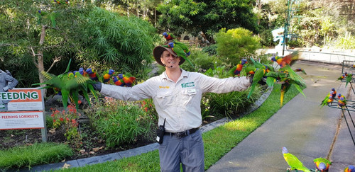 currumbin wildlife sanctuary.jpg
