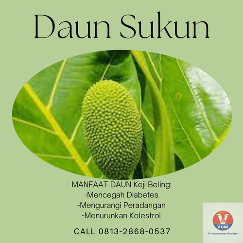 desain daun sukun 41.png