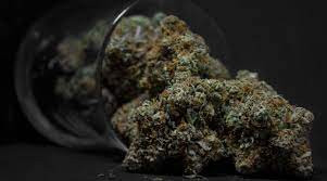 Buy Marijuana Online From The Farm.jpg