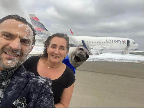 aircraft extinguished (1).jpg