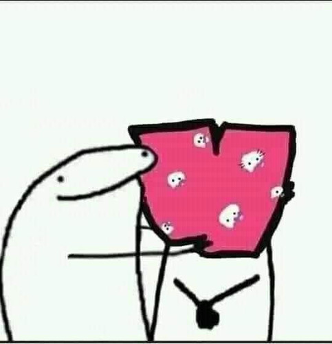 311287664 913707226258747 5113316184926329107 n.jpg