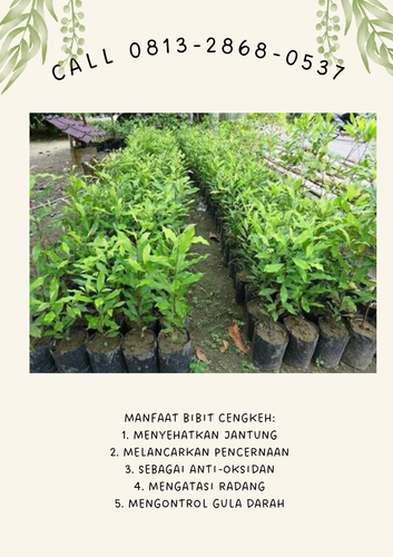 png 20221122 164159 0000.png