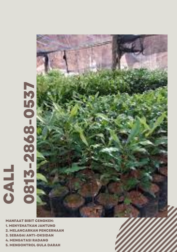 png 20221122 163803 0000.png