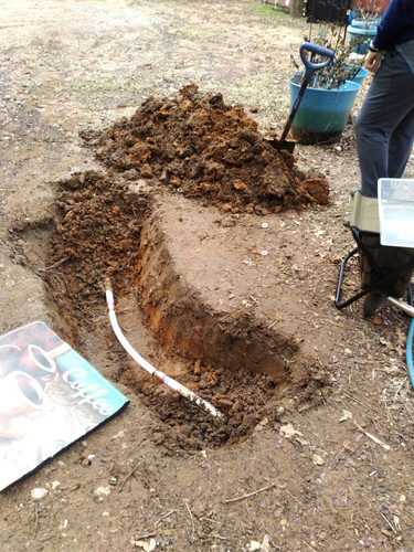 IMG 20221122 121811.jpg