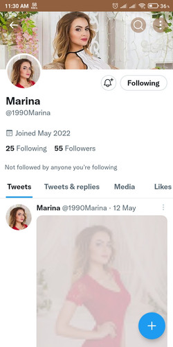 Screenshot 2022 11 23 11 30 06 762 com.twitter.android.jpg