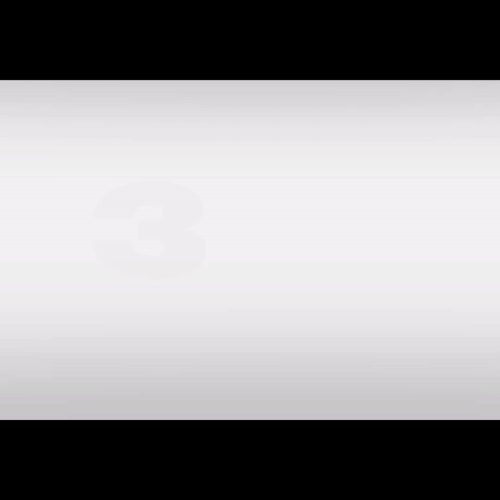 mintdate.gif