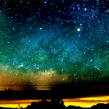 FilthyVacantDamselfly small.gif