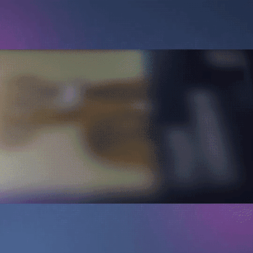 wl 1.gif