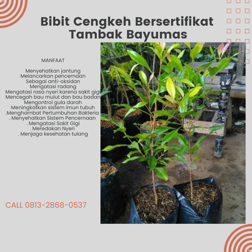 png 20221122 151417 0000.png