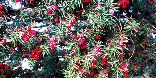 AL9nZEXhAMKhX5akk1jeYOkximE3n Fdo5IDJ6SIkVCjXC os 1R9ZQh8EnCZ1K8vWuOjxQOOU83kcuXTShJ5DMr2hf2EEmfacyi.jpg