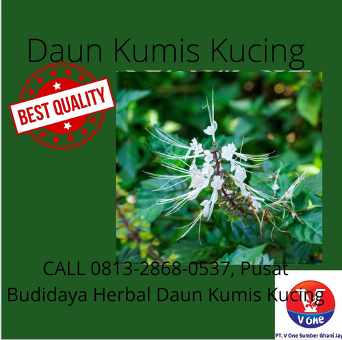 WhatsApp Image 2022 11 22 at 4.35.33 PM (1).jpg