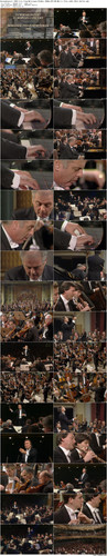 Europakonzert.1994.Live.from.Meiningen.BluRay.1080p.DTS HD.MA.5.1.Flac.x265.10bit BeiTai preview.jpg