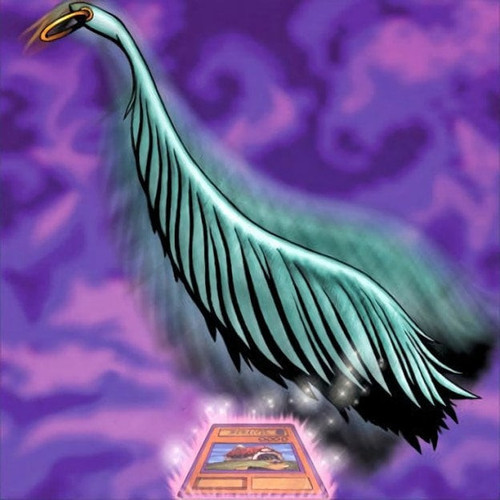 18144506.jpg