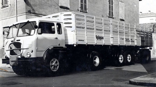 313178016 10228670407015459 894043210671270112 n.jpg