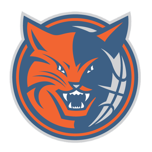 Bobcats Alt 08 12.png