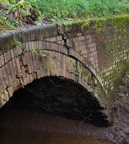 Nculvert 2019.jpg