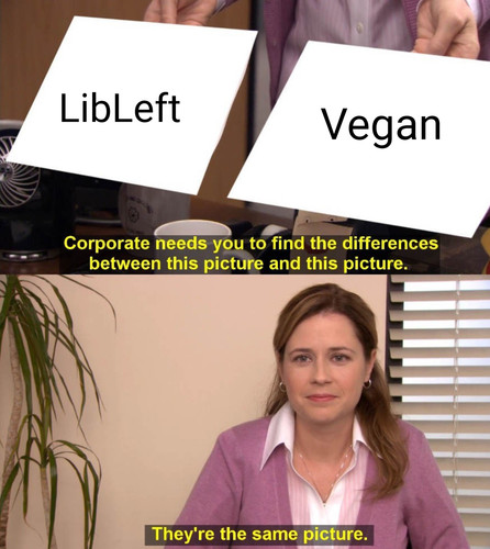 meme.jpg