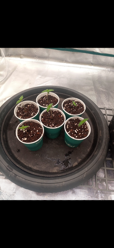 Screenshot 20230407 230236.png