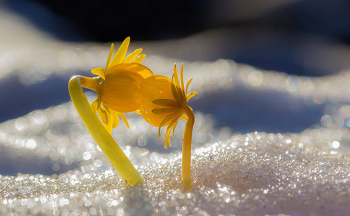 IMG 20230214 WA0003.jpg