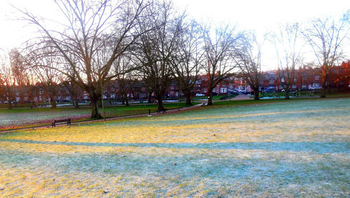 Spinney Hill Park - Leicester 22nd January 2021.jpg