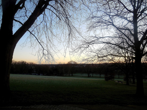 Spinney Hill Park  -  Leicester 24th January 2021.jpg