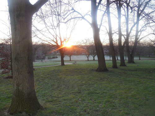 Spinney hill Park Leicester 22nd January 2021.jpg